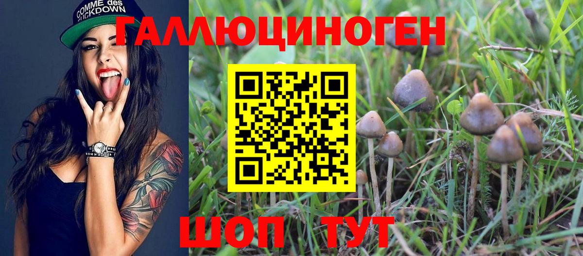 Псилоцибиновые грибы Magic Shrooms Реж