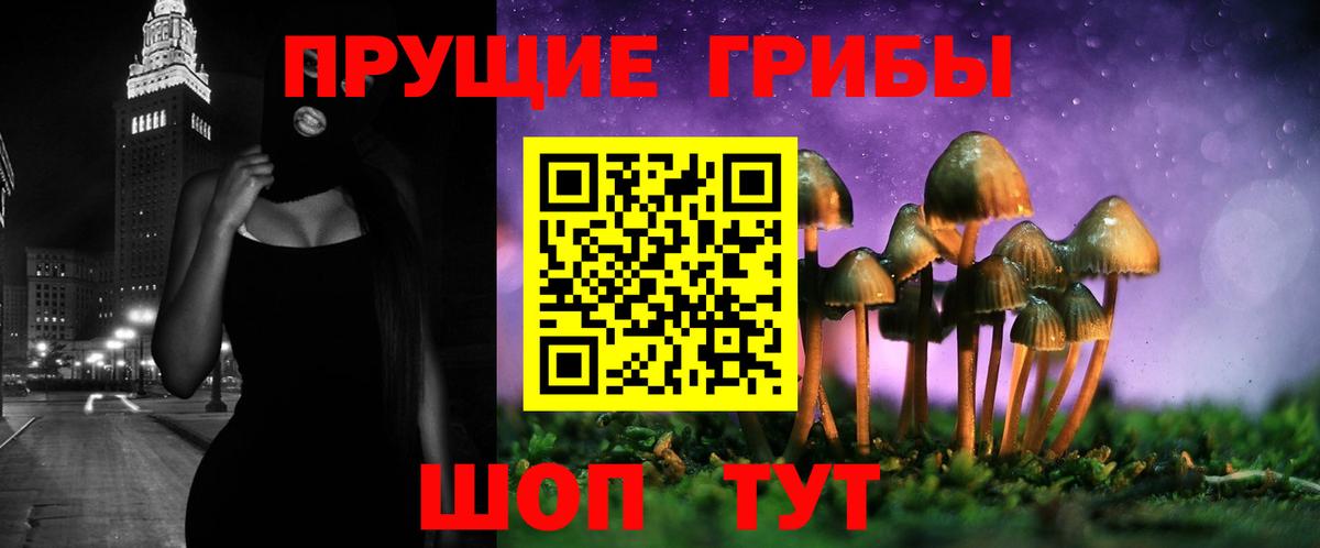 Псилоцибиновые грибы Psilocybe  Вход с VPN  Галлюциногенные грибы мицелий  Реж 